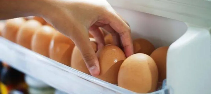 huevos huevos