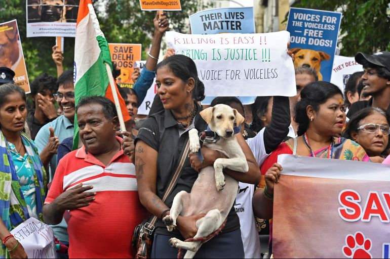 Una mujer sostiene a un perro mientras ella y otros amantes de los animales asisten a una manifestación de protesta, después de que el tribunal superior de la India ordenó a las autoridades de la capital de Delhi y sus suburbios para reubicar a todos los perros callejeros en ocho semanas, en Chennai, India, 17 de agosto de 2025. Reuters/Riya Mariyam R