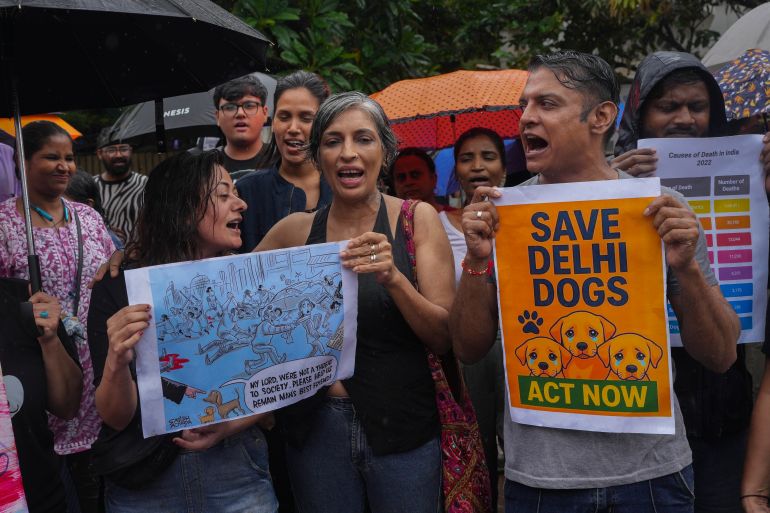 Los activistas tienen pancartas durante una protesta contra el fallo reciente por parte de las principales autoridades de la corte de la corte del país en Nueva Delhi que eliminen a todos los perros callejeros de las calles y que esterilicen y reubique permanentemente a los refugios, el jueves 14 de agosto de 2025. (Photo/ Rafiq Maqbool)