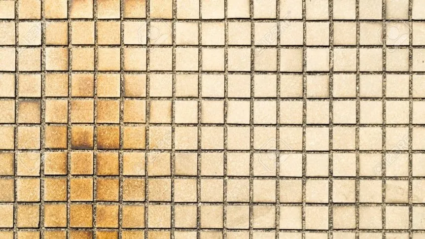Azulejos del baño