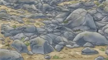 acertijo perro oculto entre piedras