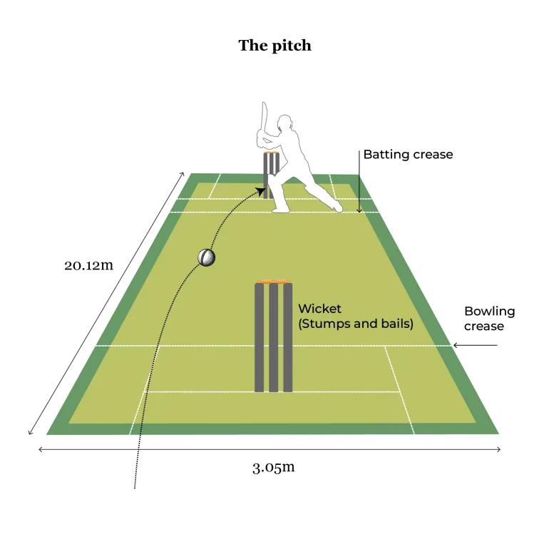 Guía interactiva_ilustrada de cricket_PITCH_REVISED
