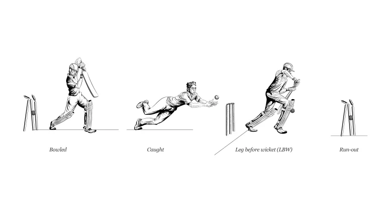 Interactive_Guía ilustrada de cricket_FORMAS DE SALIR_REVISADO