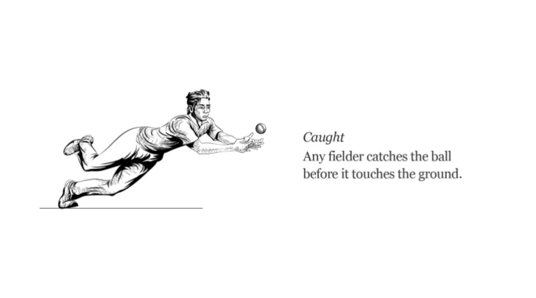 Interactive_Guía ilustrada de cricket_caught