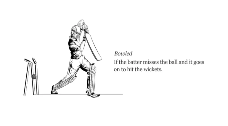 Guía interactiva_ilustrada de cricket_bowled