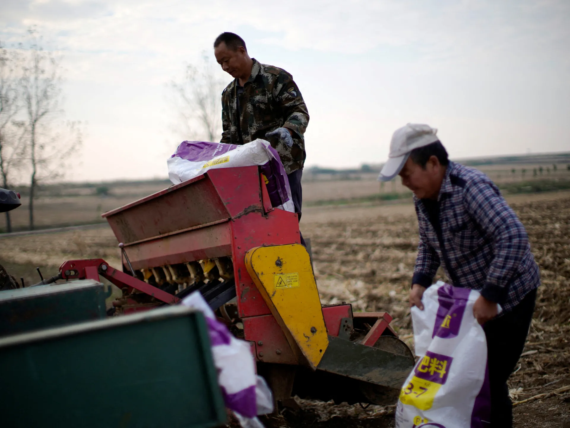 No sólo energía: cómo la guerra de Irán podría desencadenar una crisis alimentaria mundial