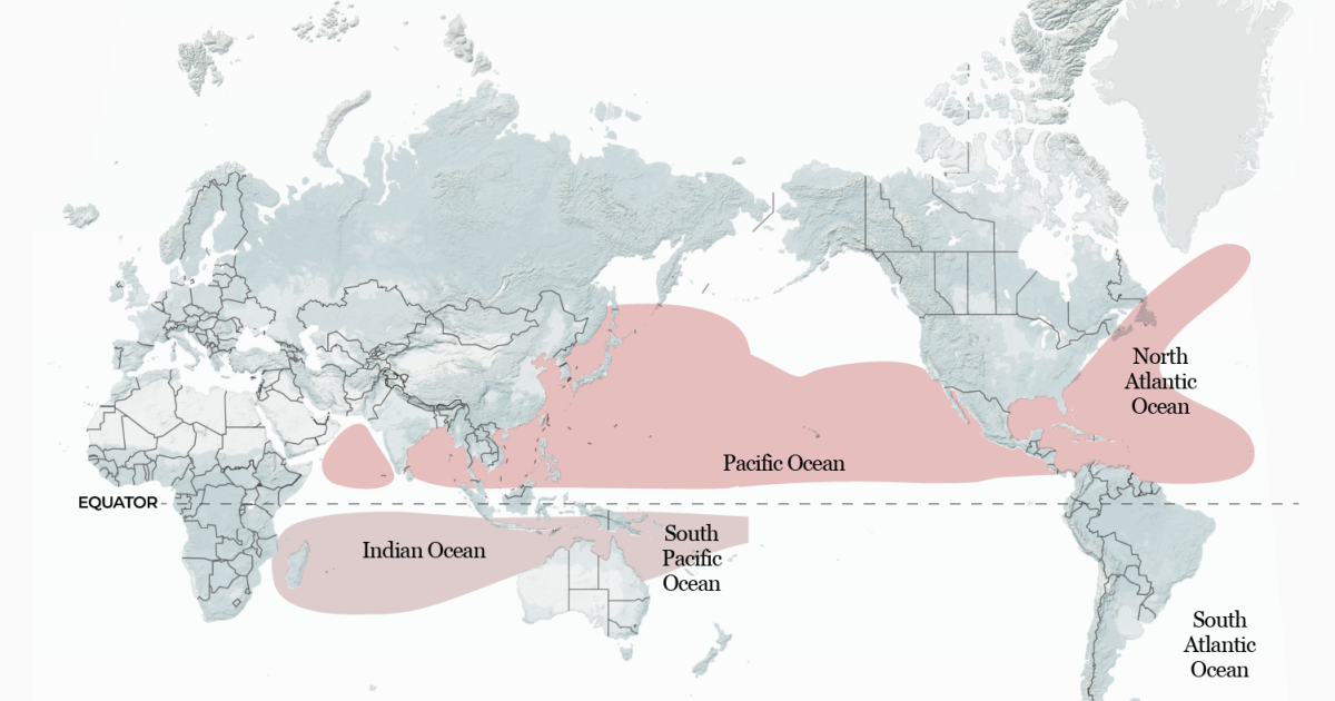 ¿Cómo podría El Niño cambiar la forma de las tormentas tropicales en todo el mundo este año?