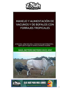 es.scribd.com