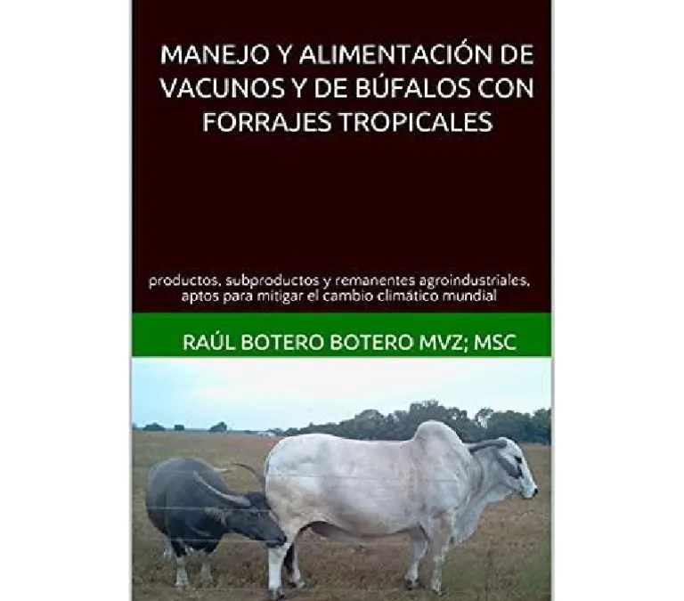 es.scribd.com