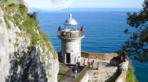www.tripadvisor.co